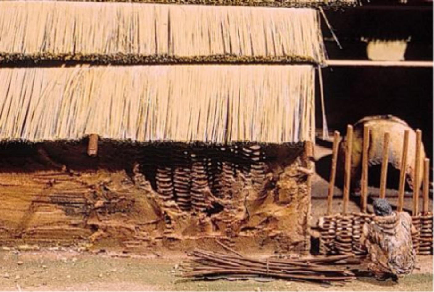 Vue du clayonnage en bois avec placage du torchis : terre + paille (P. Laforest)
