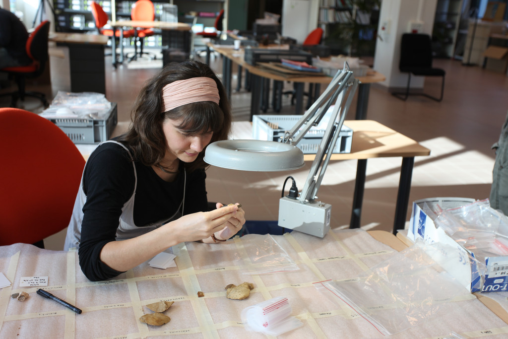 La restauration des collections