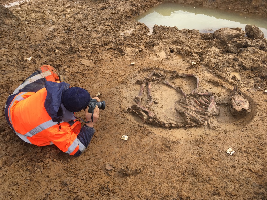 La recherche scientifique