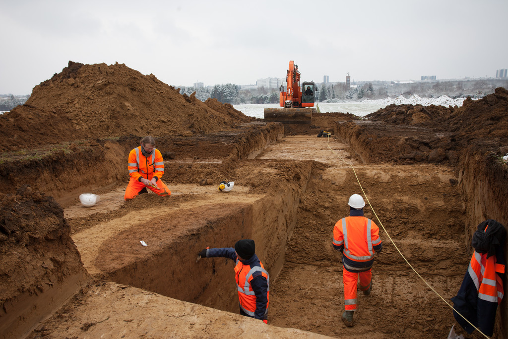 Conseil et expertise